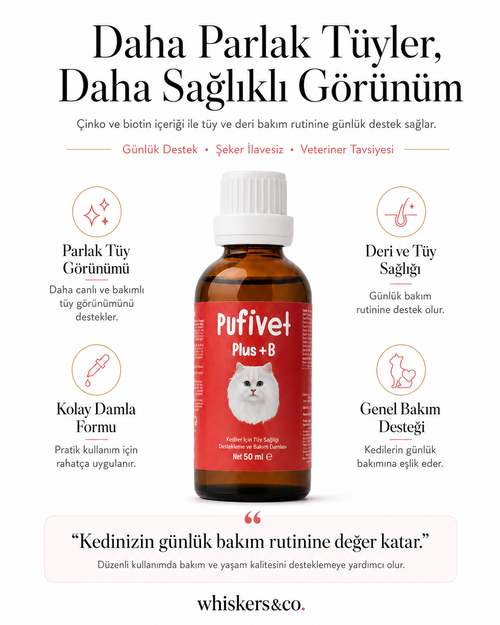 Kediler İçin Tüy ve Deri Bakım Damlası