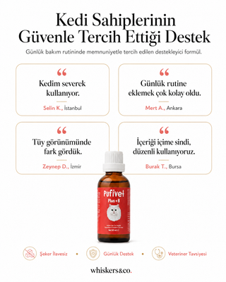 Kediler İçin Tüy ve Deri Bakım Damlası