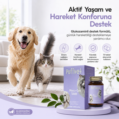 Kedi ve Köpekler İçin Eklem Destek Tableti