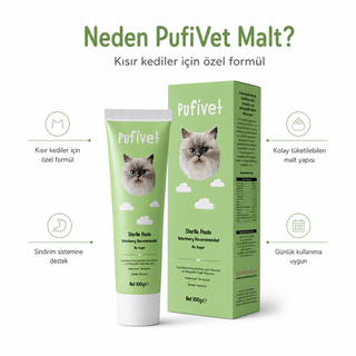 Kısır Kediler İçin Tüy Yumağı Karşıtı Malt Macun