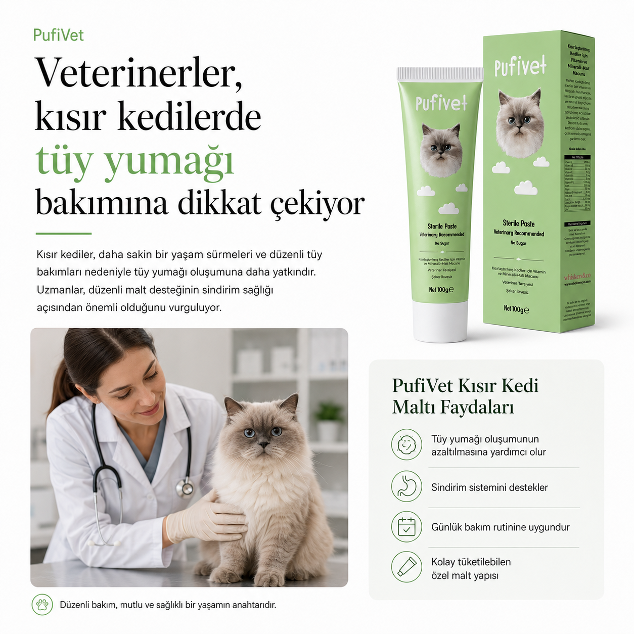 Kısır Kediler İçin Tüy Yumağı Karşıtı Malt Macun