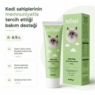 Kısır Kediler İçin Tüy Yumağı Karşıtı Malt Macun