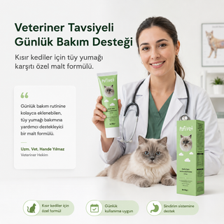 Kısır Kediler İçin Tüy Yumağı Karşıtı Malt Macun